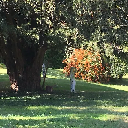 Les Chalets De L'etang Chalet Chene Maison d'hôtes