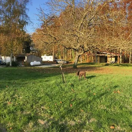 Les Chalets De L'etang Chalet Chene